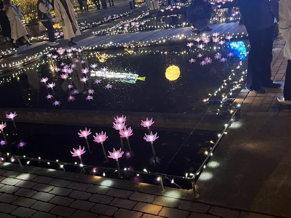 日本・栃木県「クリスマスイルミ」の写真：水に浮かび上がるイルミネーションの汽車と...