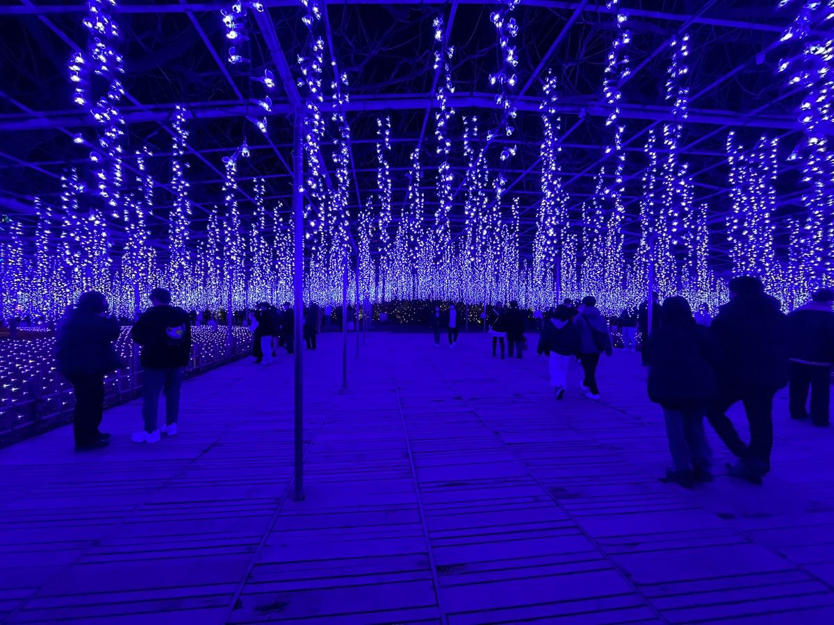 水に浮かび上がるイルミネーションの汽車と月🚂🌕
可愛かった💕