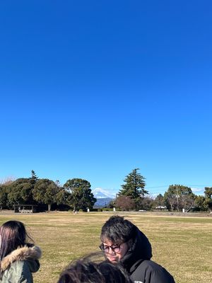 公園から富士山見えた