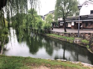 電車から見える景色は自然がたーっくさんあってジブリの世界みたいだった。