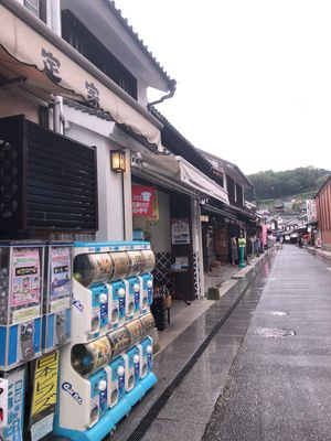 電車から見える景色は自然がたーっくさんあってジブリの世界みたいだった。