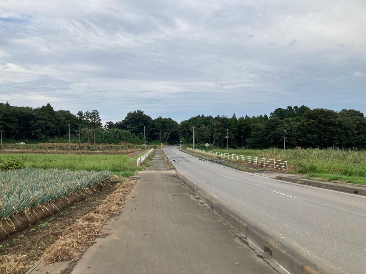 まじトトロみたいな風景でしたよ！