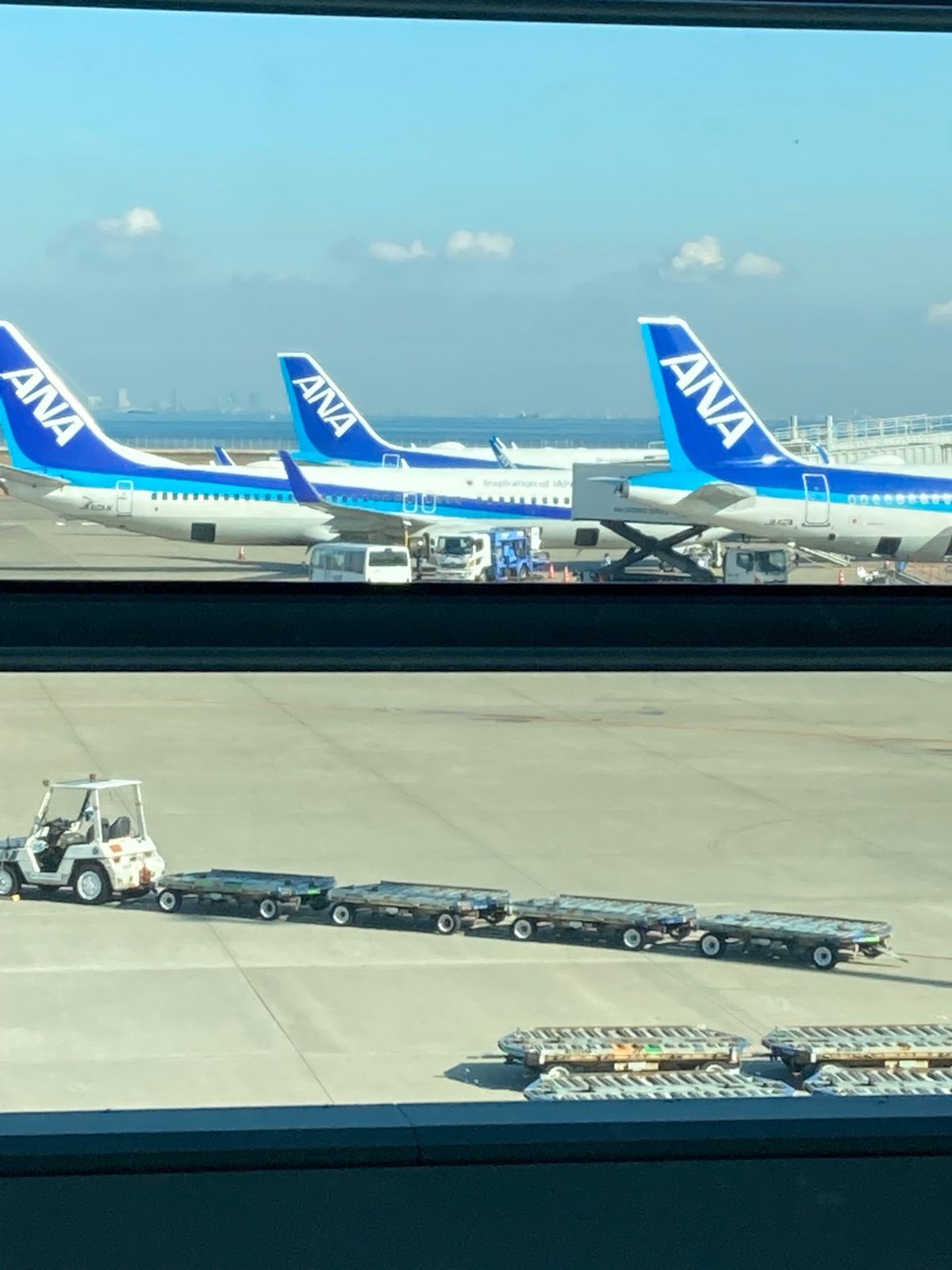 今回も飛行機✈️で大阪に向かいます。
午後の便だったのに早朝から車で🚙空後...