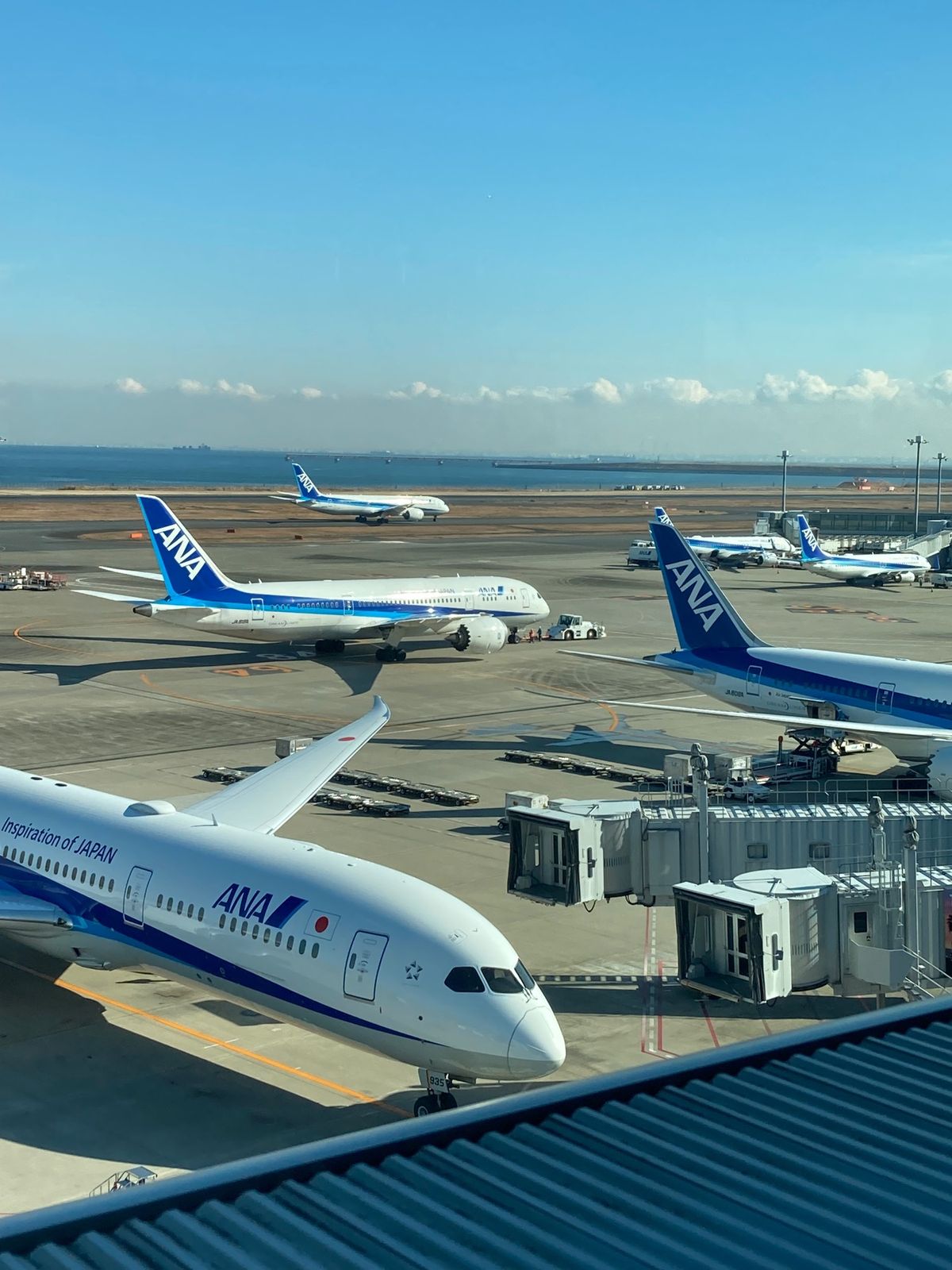 今回も飛行機✈️で大阪に向かいます。
午後の便だったのに早朝から車で🚙空後...