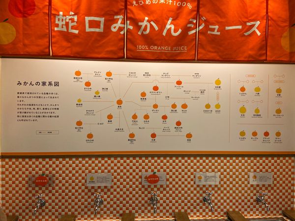 日本・松山市「松山旅行」の写真