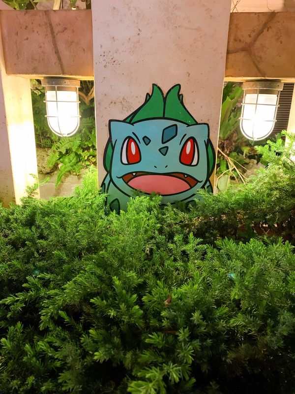 日本・沖縄「ポケモンget❤️」の写真