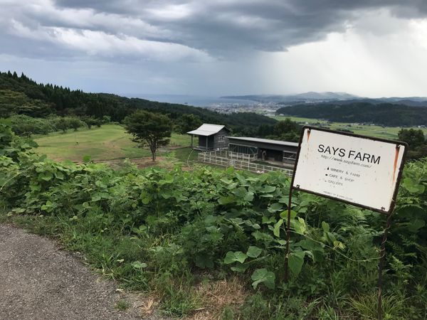 日本・富山県「ワイナリー旅行　SAYS FARM」の写真