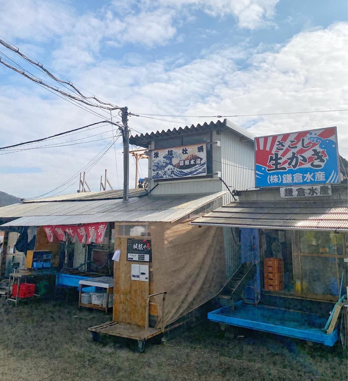 鎌倉水産にて牡蠣購入。