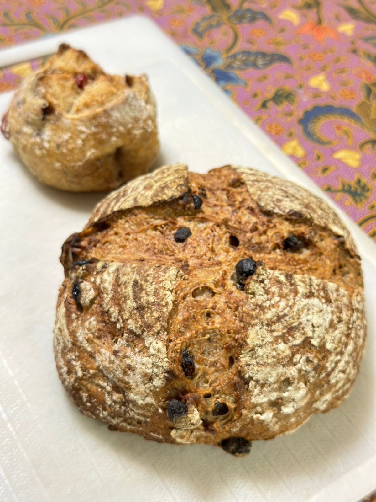 あこうぱん
人気店