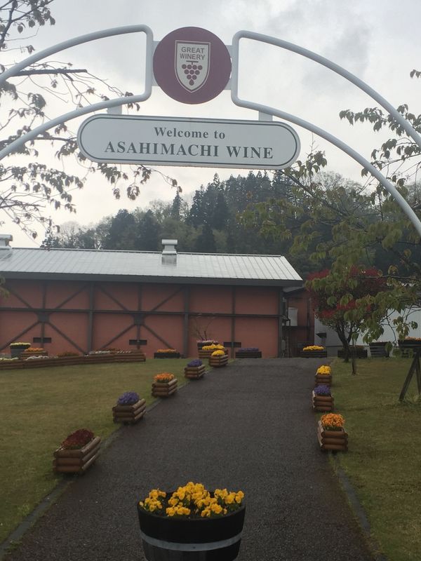 日本・山形県「ワイナリー旅行　朝日町ワイン」の写真