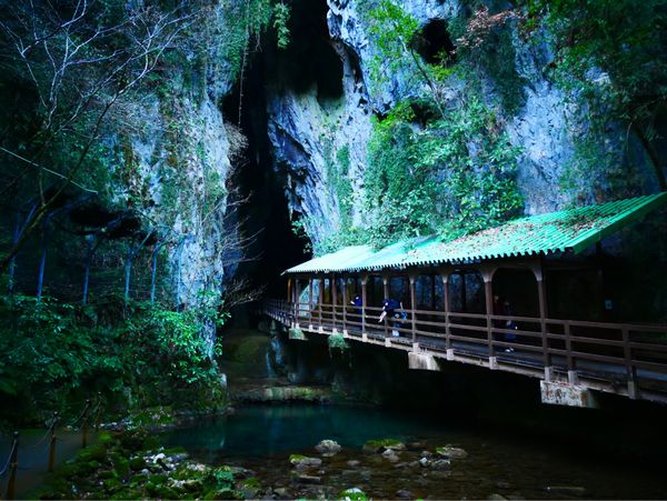日本・宮島「広島・山口 旅行」の写真