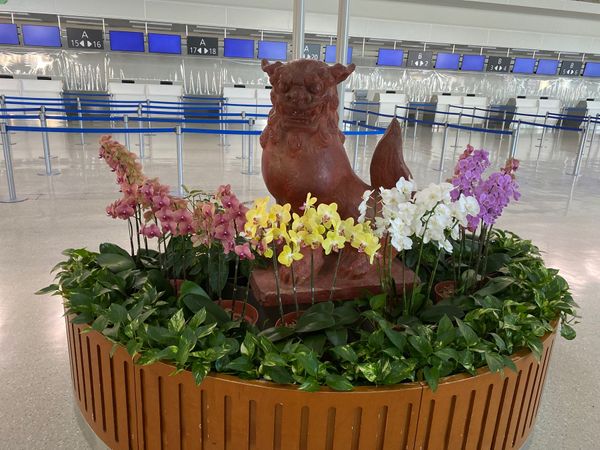 日本・沖縄県「片道6000マイル！シーズンオフの沖縄」の写真：那覇空港でシーサーが見送ってくれました。...