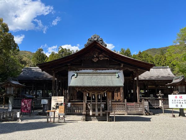 日本・高知県「初めての高知旅」の写真：高知県高知市
土佐神社　土佐一宮
●拝殿...