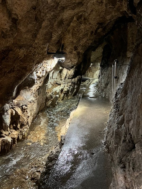 日本・高知県「初めての高知旅」の写真：高知県香美市
龍河洞
●鍾乳洞
●青くラ...