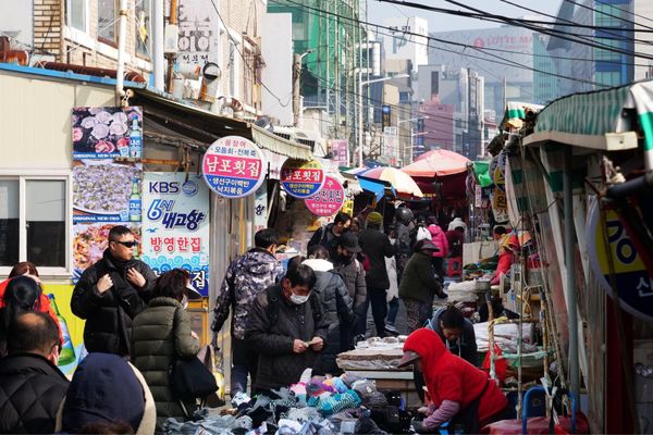 大韓民国 (韓国)・釜山「釜山旅行」の写真：海鮮市場