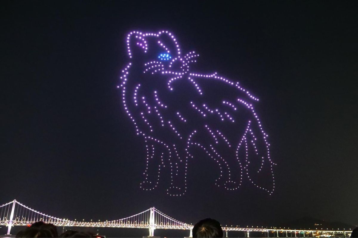 ドローンのショー