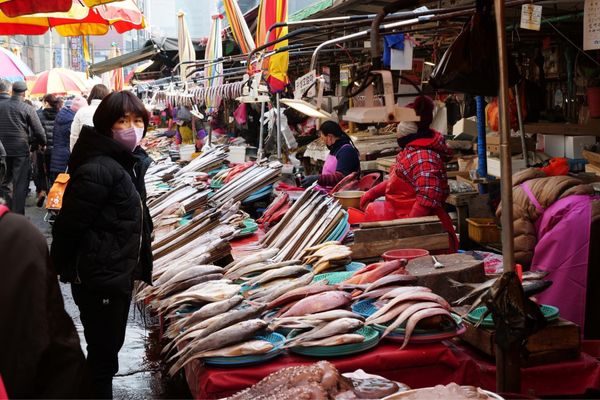 大韓民国 (韓国)・釜山「釜山旅行」の写真：海鮮市場