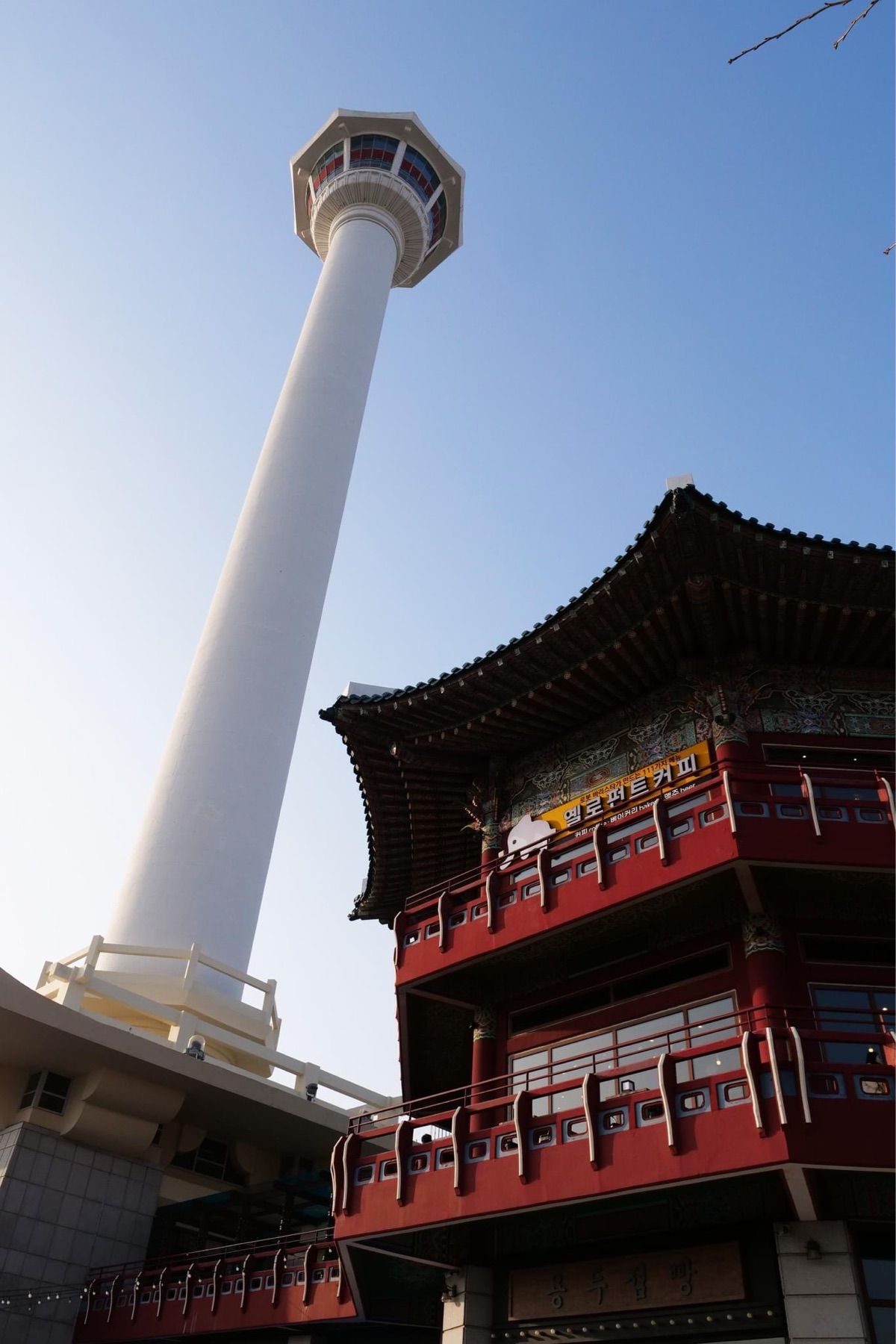 釜山タワーからの景色