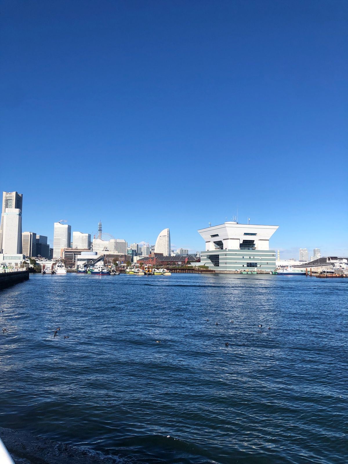 たまたまクリスマスに東京横浜に行ってきました。
すごい人人人で、ひるみまし...