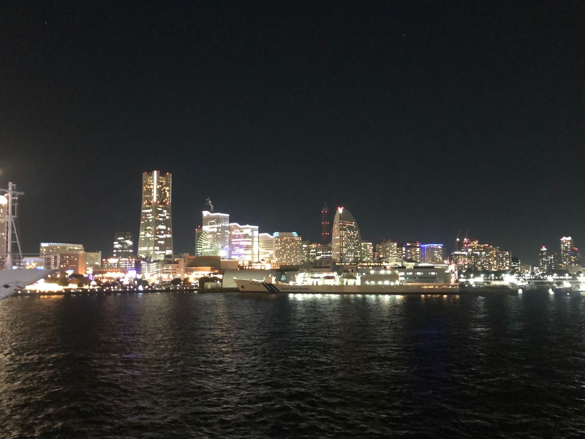 たまたまクリスマスに東京横浜に行ってきました。
すごい人人人で、ひるみまし...