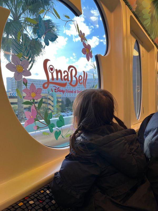 日本・千葉県「トイストーリーホテルからの東京ディズニーランド」の写真