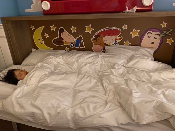 日本・千葉県「トイストーリーホテルからの東京ディズニーランド」の写真