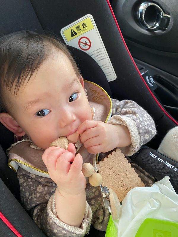 日本・静岡市「娘の雛人形を探す旅　静岡」の写真