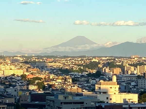 日本・神奈川県「お盆で横須賀とみなとみらいへ」の写真