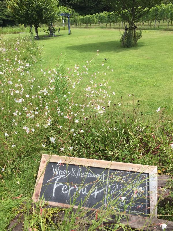 日本・新潟県「ワイナリー旅行　フェルミエ」の写真