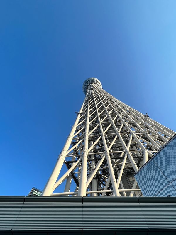 日本・東京都「お久しぶりの東京旅」の写真：スカイツリー、ただただデカい✨