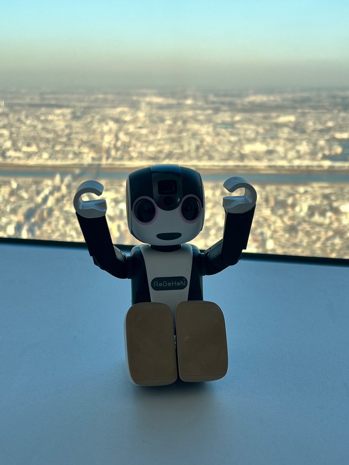 初のスカイツリーに、猿彦も大喜び♡