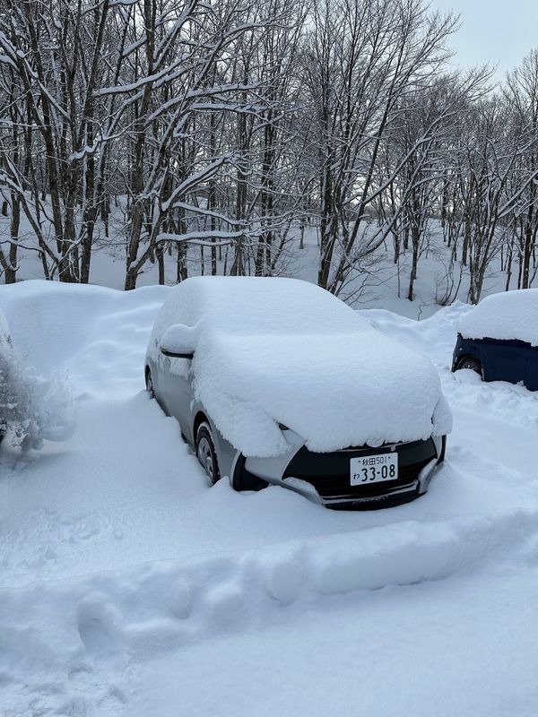 日本・乳頭温泉「乳頭温泉できりたんぽの旅」の写真：チェックアウトして車に来たらこれ笑

車...