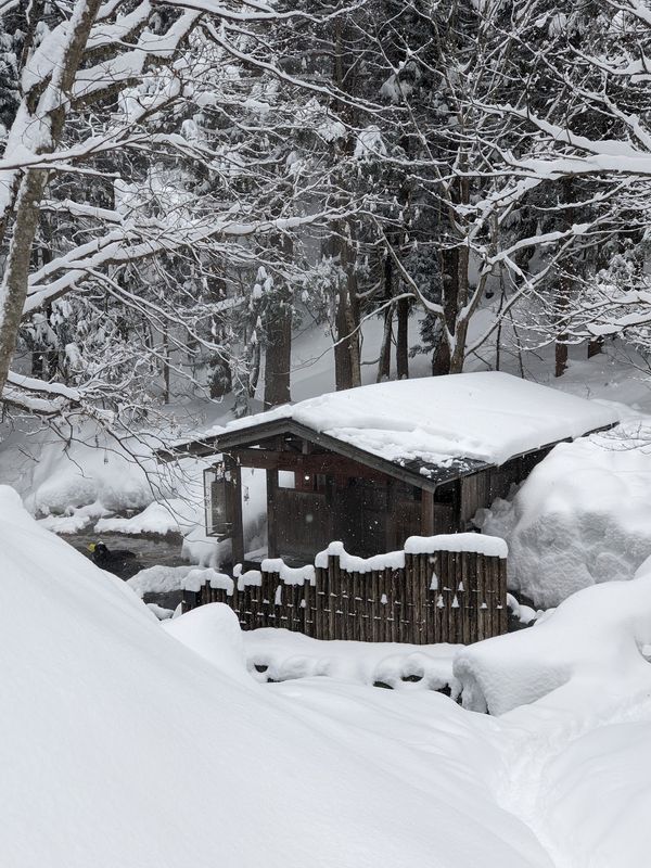 日本・田沢湖「秋田秘湯・田沢湖の旅」の写真：蟹場温泉の露天風呂。
宿から雪道を少し歩...