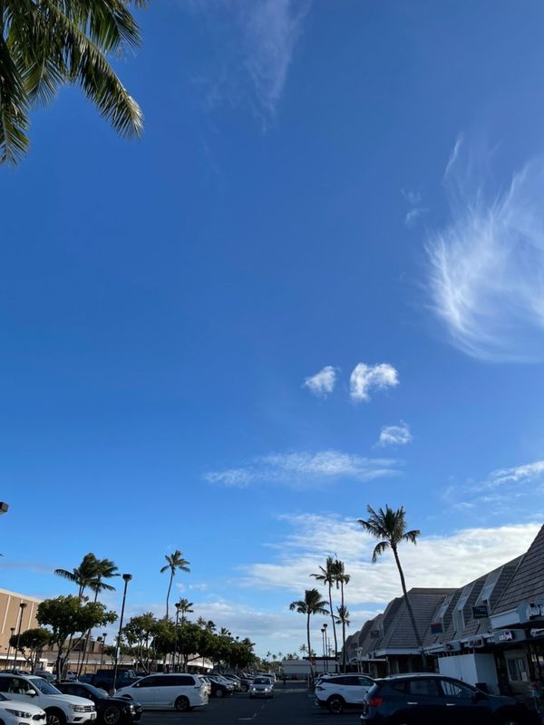 アメリカ(米国)・ハワイ「ハワイ」の写真