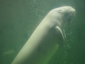 ⭐︎鳥羽水族館⭐︎