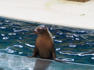 ⭐︎鳥羽水族館⭐︎