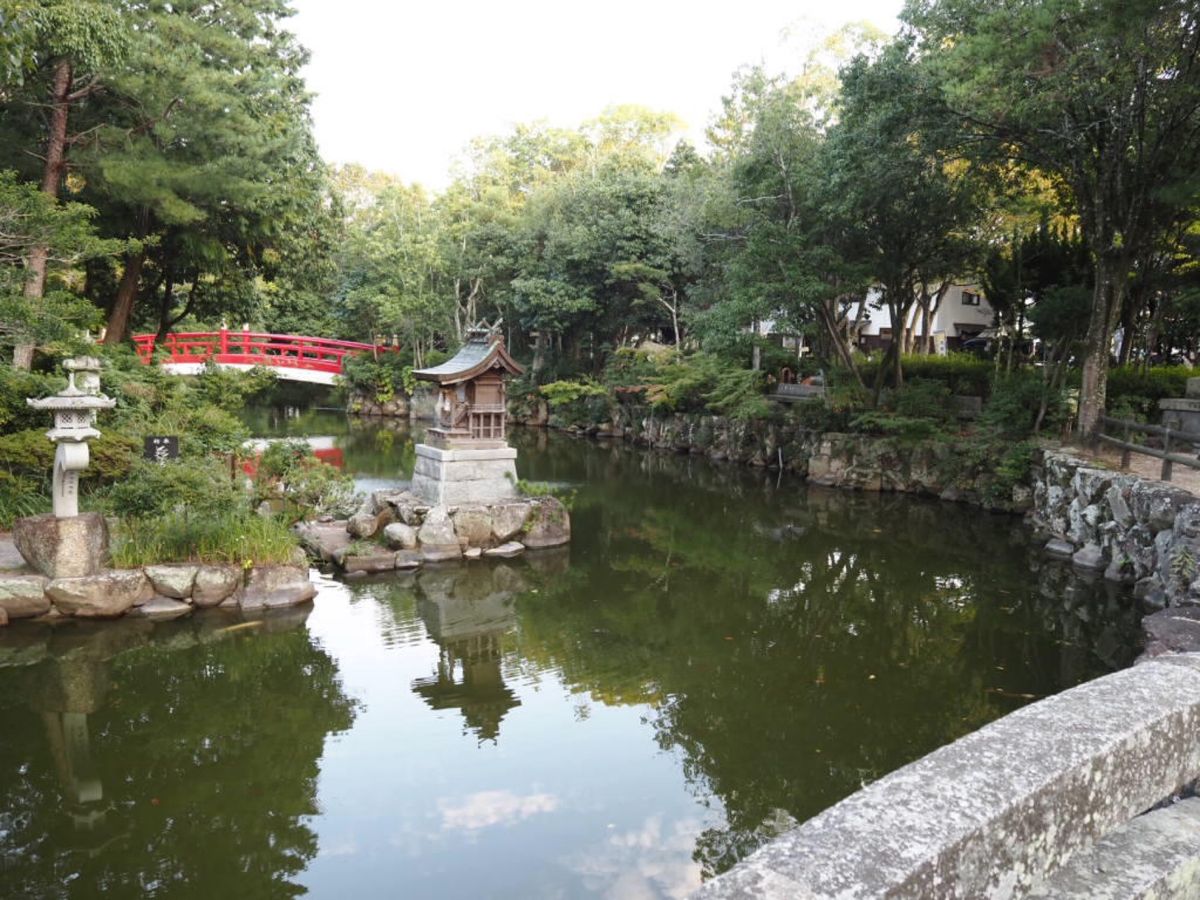 ⭐︎伊弉諾神社⭐︎