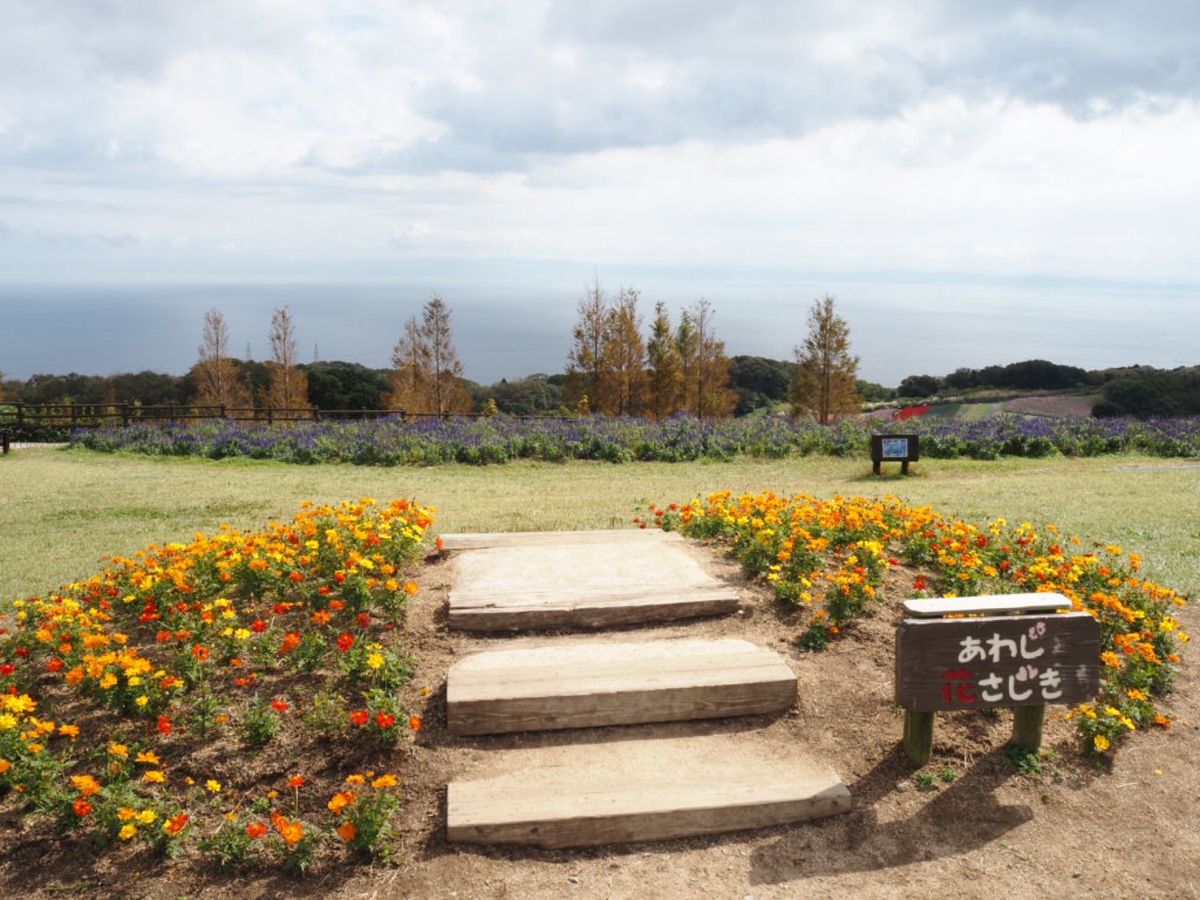 ⭐︎淡路花さじき⭐︎
10月中旬とはいえ暑すぎました(；´Д`)