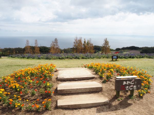 日本・有馬温泉「一泊二日の兵庫旅行」の写真：⭐︎淡路花さじき⭐︎
10月中旬とはいえ...