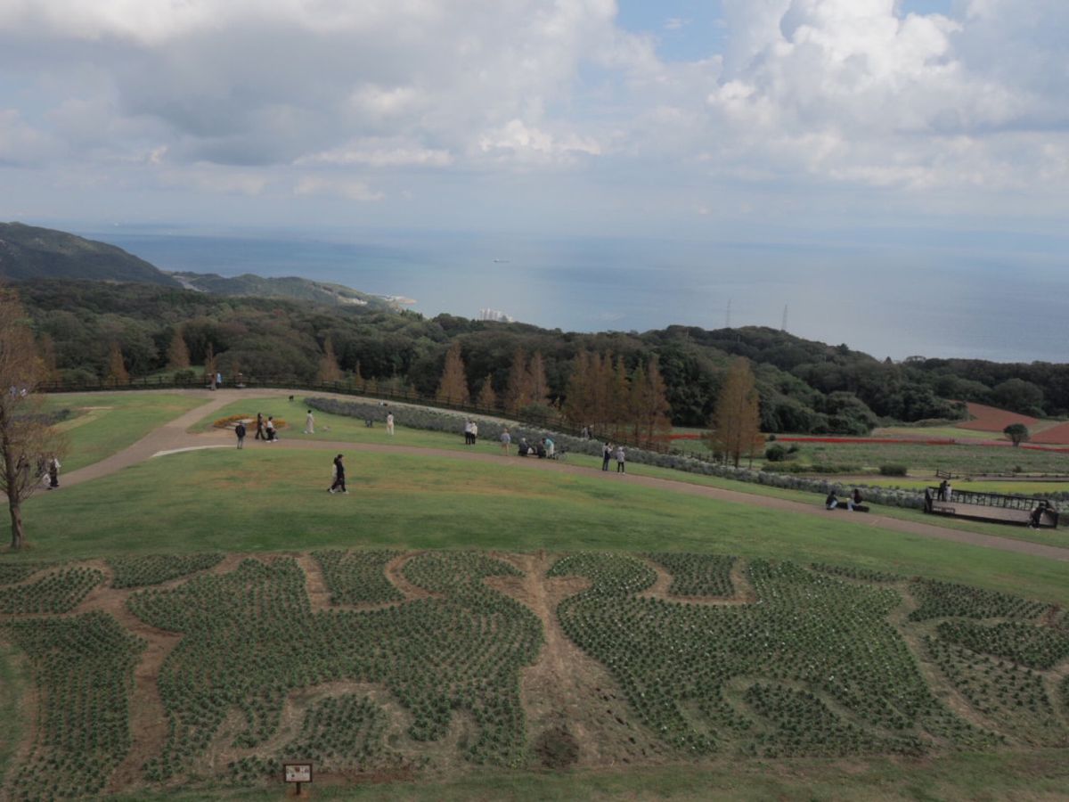 ⭐︎淡路花さじき⭐︎
10月中旬とはいえ暑すぎました(；´Д`)