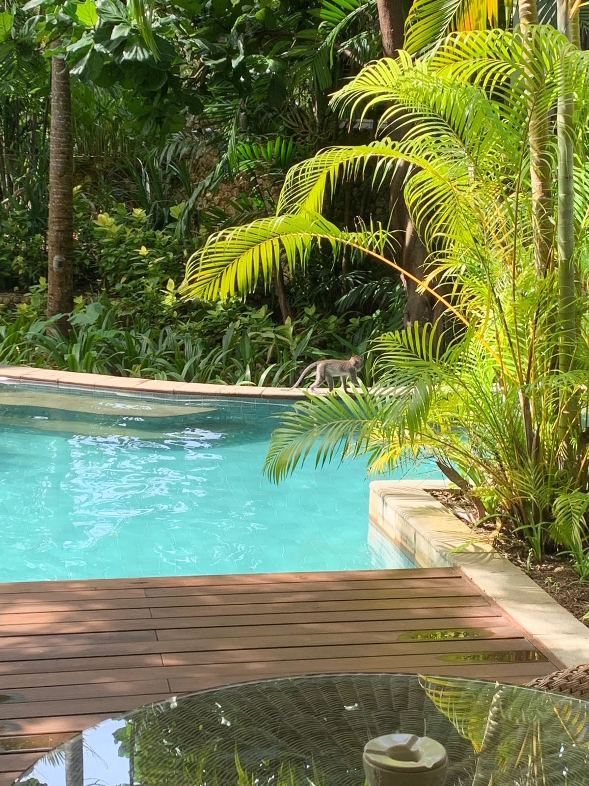 今回の旅は、ホテルホッピング。
2軒目のホテルはさすがでした。スタッフの方...