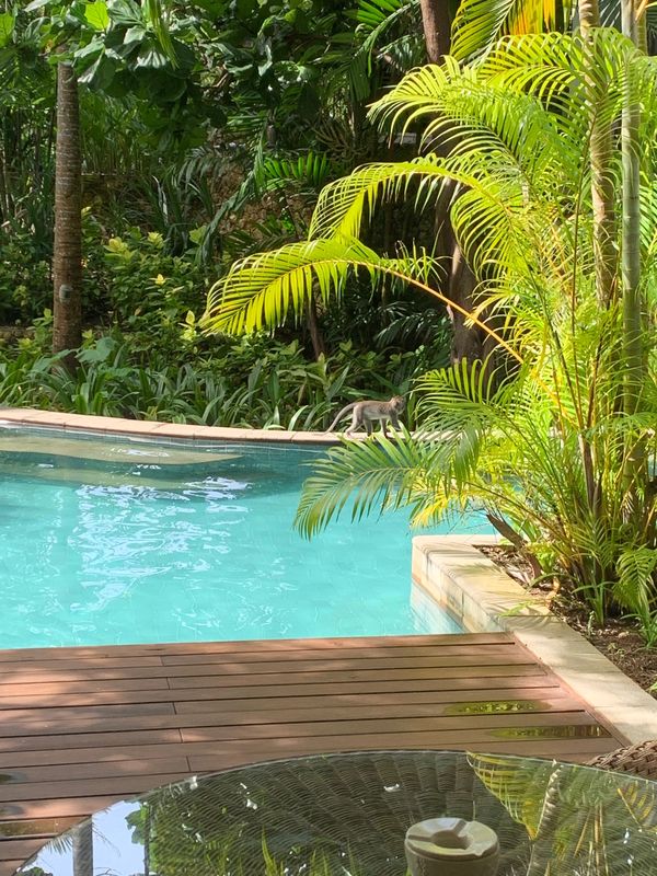 インドネシア・バリ島「17年振りのバリ島」の写真：今回の旅は、ホテルホッピング。
2軒目の...