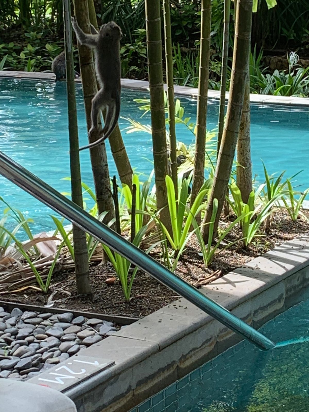 今回の旅は、ホテルホッピング。
2軒目のホテルはさすがでした。スタッフの方...