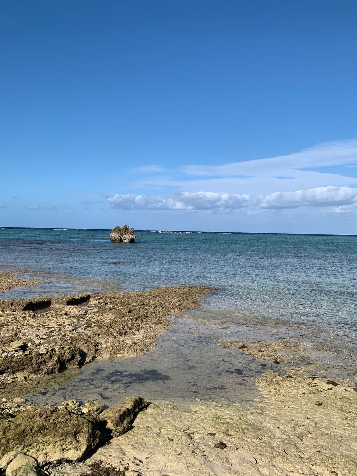 ホテルのプライベートビーチを散歩して、毎回伺う大好きなパン屋さんへ。
体調...