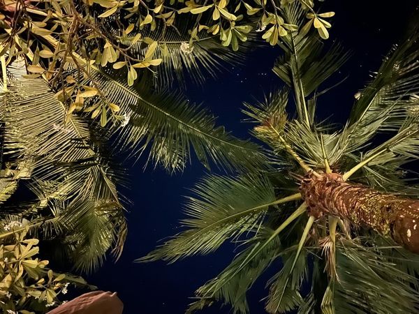 インドネシア・Bali「Bali / 17-21 Jan 2022」の写真：いいホテルの夜のプールビーチがたまらなく...