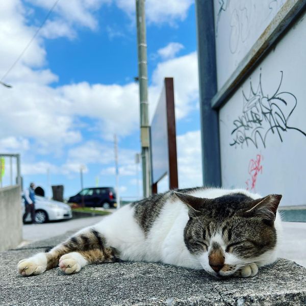日本・沖縄県「家族旅行/ 7-9 Jan 2022」の写真