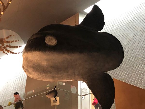 日本・福岡県「北九州」の写真