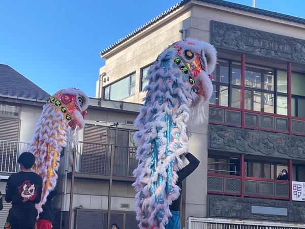 日本「春節 横浜中華街」の写真