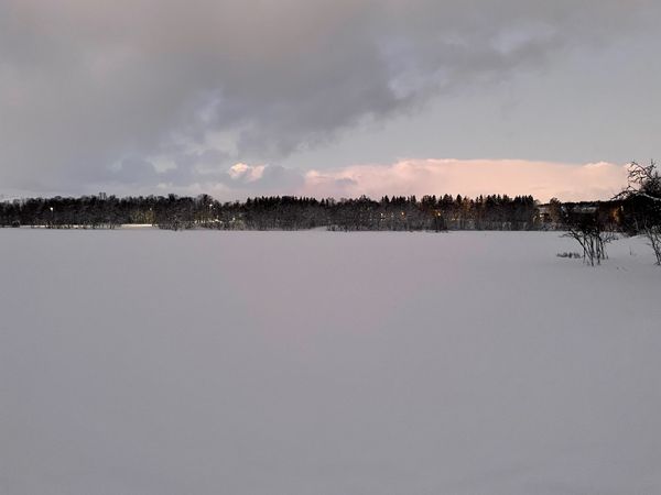 ノルウェー・ノルウェー「トロムソ」の写真