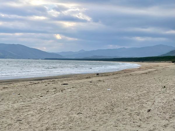日本・佐賀県「唐津旅行」の写真：唐津 特別名勝 虹の松原